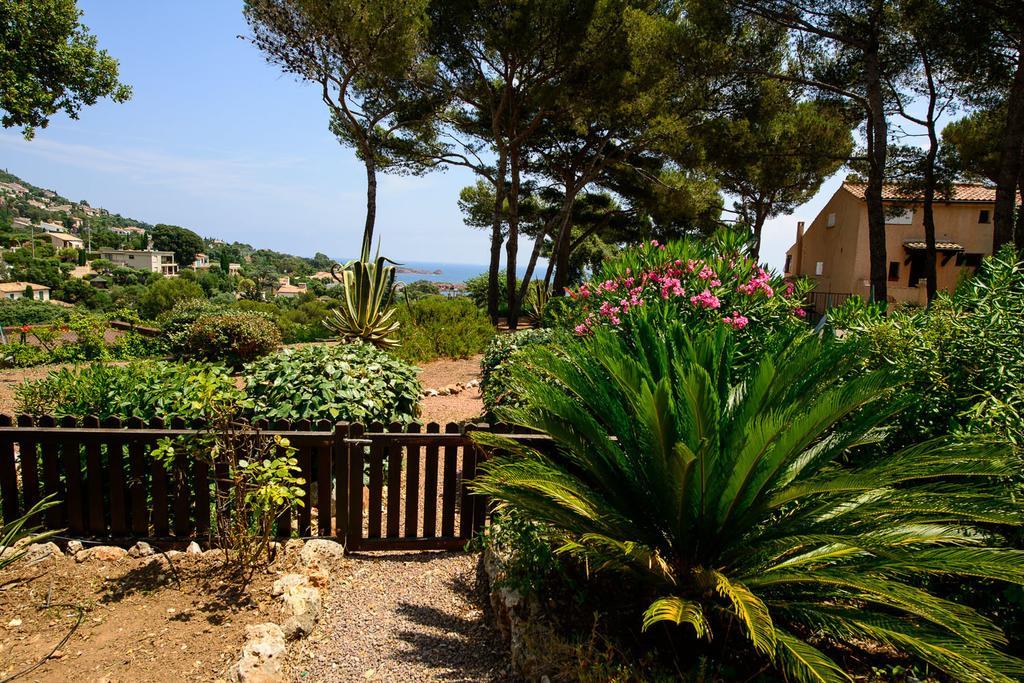 Bastidon Vue Mer Antheor-Cap-Roux الغرفة الصورة